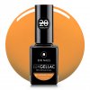 Lux Gel lac 22 Autumn leaves (2)