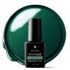 ROCKLAC 5 ml č.S54