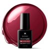Rocklac 5 ml č.S60