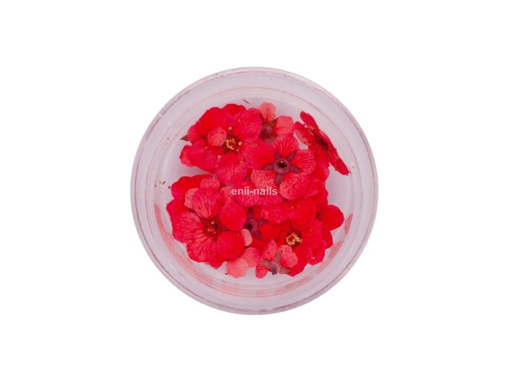 Lososovo ružové sušené kvety na zdobenie nechtov