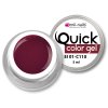 Quick Color Gel 5 ml