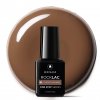 ROCKLAC 5 ml č.S81
