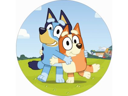 bluey 5 kul V