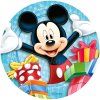 mickey 9 V
