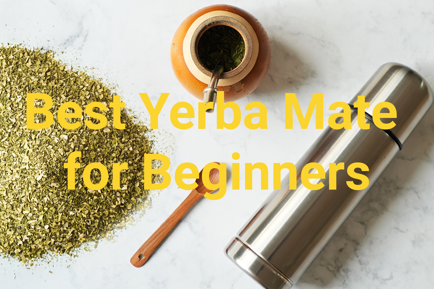 Best Yerba Mate for Beginners: Start Your Mate Journey the Right Way