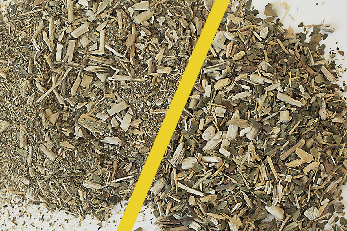 Pourquoi la poussière dans le yerba maté est-elle importante ?