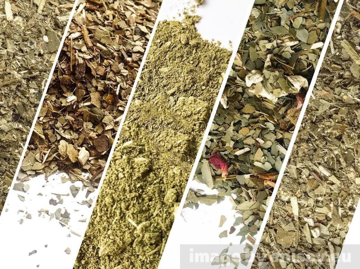 Categories of Yerba Mate