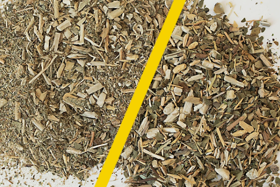 ¿Por qué es importante el polvo en la Yerba Mate? ¿Y cómo hace que tu bebida sea realmente mejor?