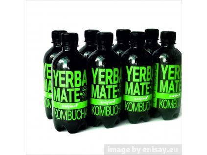 Yerbee Yerba Mate Kombucha pack