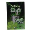 Selecta Terere Menta Boldo 500g