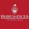 Domus Picta LOGO