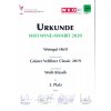 2020Urkunde Wifi GV Cl