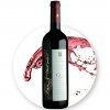 SanSI NEXUS Cabernet Sauvignon DOC NEXUS EDIT