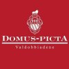 Domus Picta logo