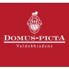 domus picta logo