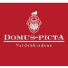 domus picta logo