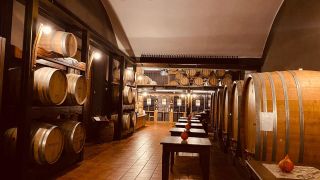 Stripky z druheho dne piedmontske winetour. Krome proslule syrarny jsme navstivili dve vinarstvi, Gian Pierro Marrone a...