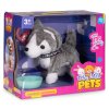182351 8 interaktivny husky na voditku chodi vrti chvostom