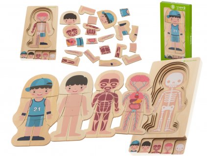 Dřevěné vrstvené puzzle montessori body building boy
