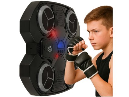 Tarcza bokserska treningowa na sciane trenazer muzyka swiatla LED USB 173681