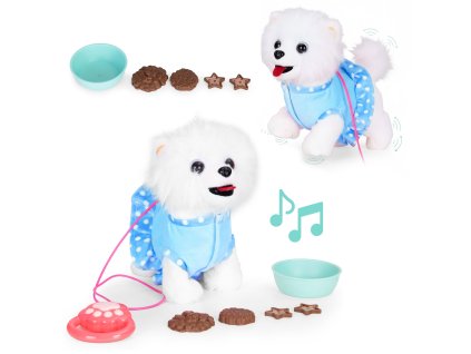 Interaktívne prechádzky so psom na vodítku a melódie s vrtiacim chvostom