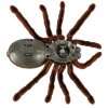 Pajak TARANTULA Zdalnie Sterowany robot na pilota PILOT 147329