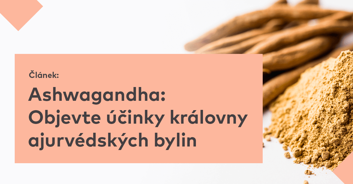 Ashwagandha: Objevte účinky královny ajurvédských bylin