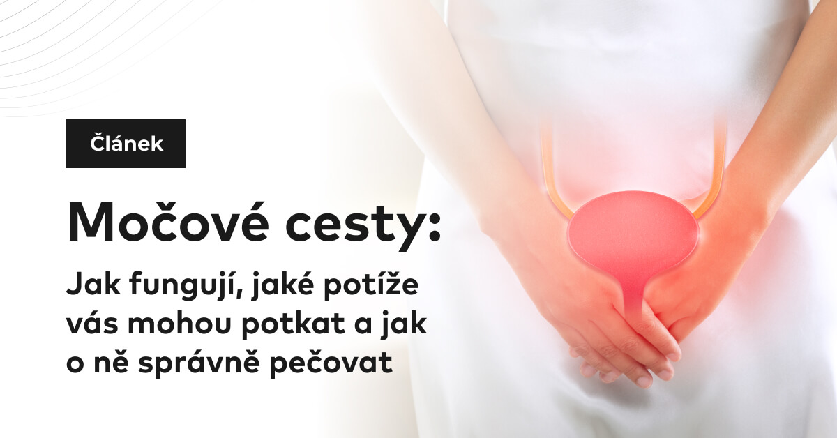 Močové cesty: Jak fungují, jaké potíže vás mohou potkat a jak o ně správně pečovat