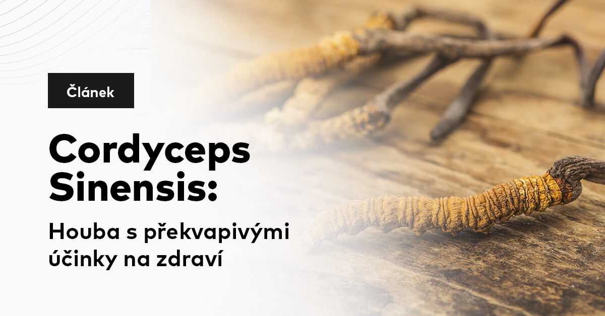 Cordyceps Sinensis: Houba s překvapivými účinky na zdraví