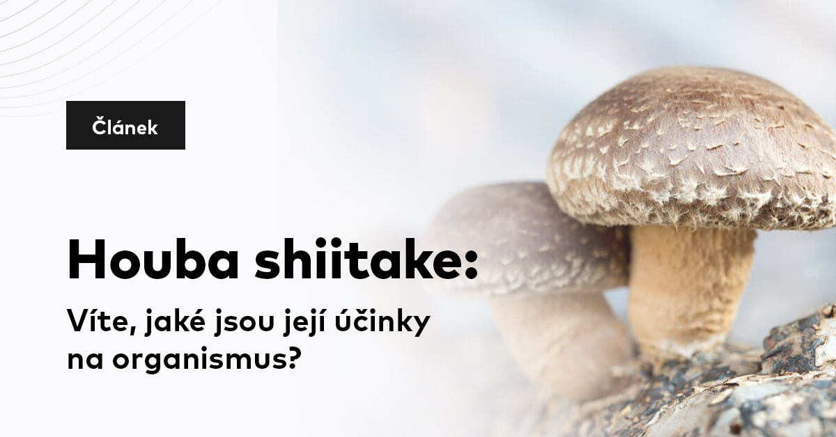 Houba shiitake: Víte, jaké jsou její účinky na organismus?