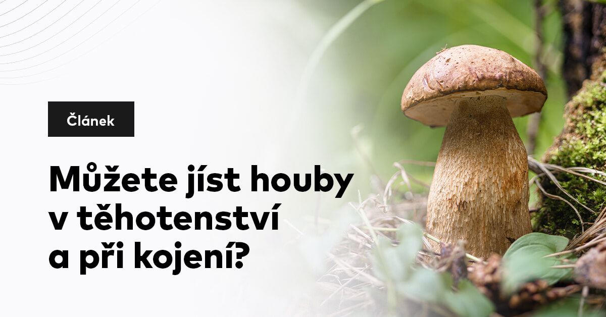 Můžete jíst houby v těhotenství a při kojení?