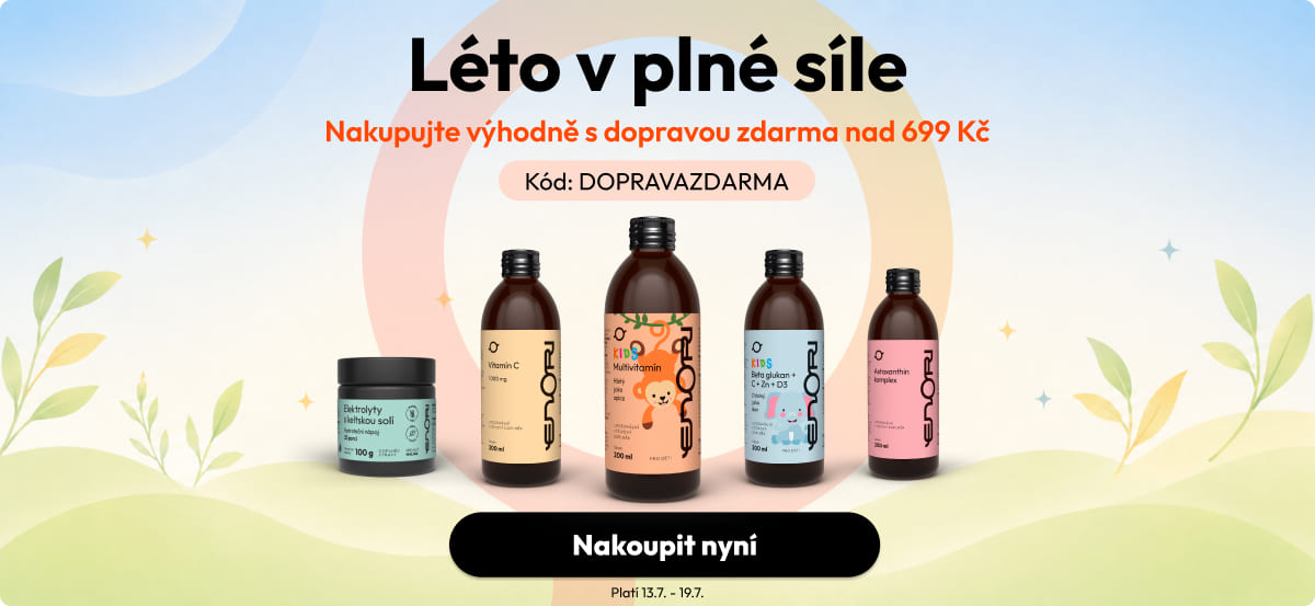 Letní doprava zdarma