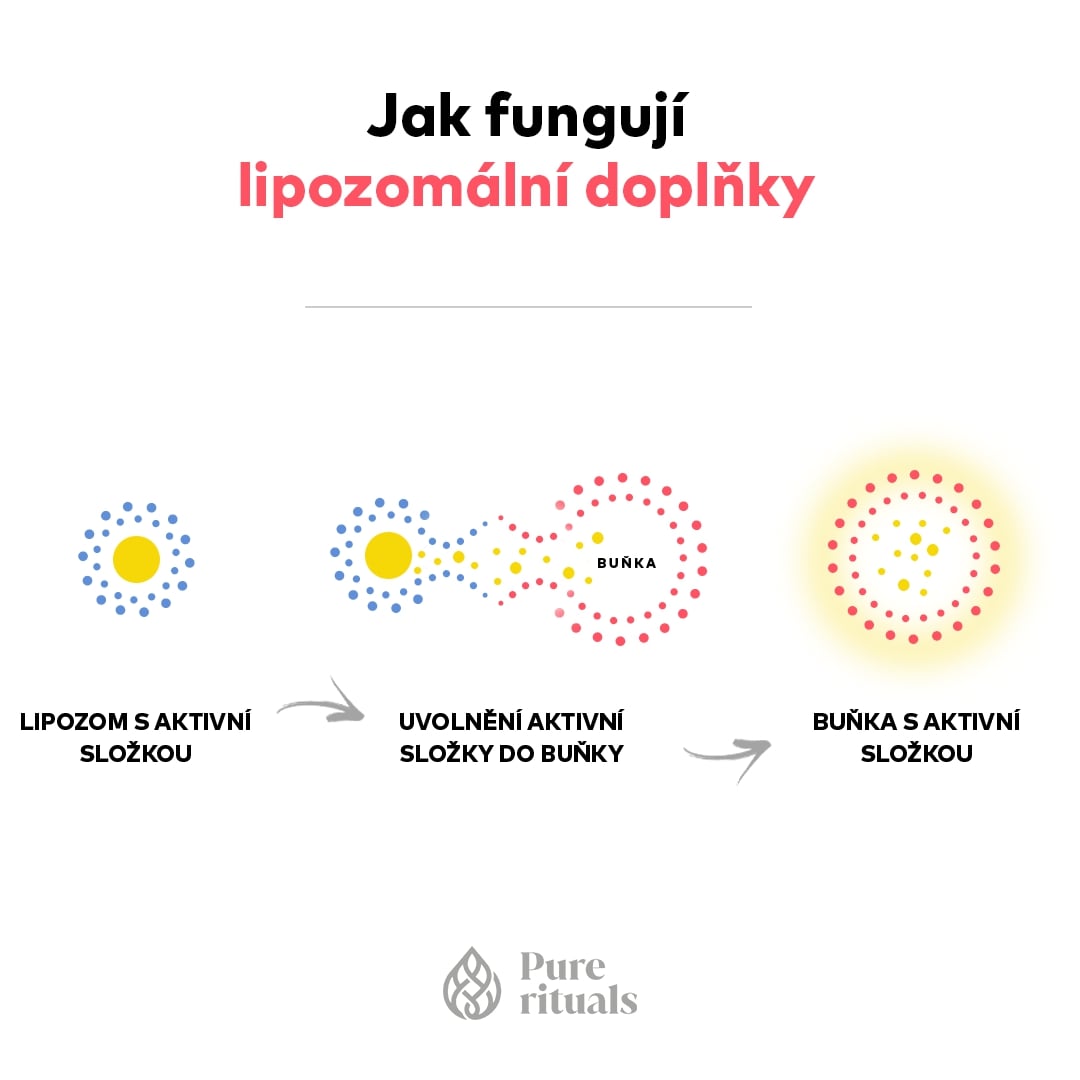 jak-funguji-lipozomalni-doplnky