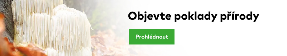 banner_blog_widget_koralovec_CZ