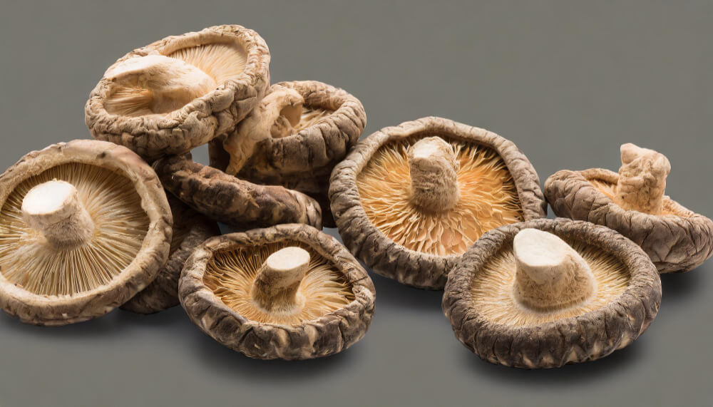 shiitake