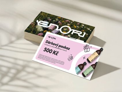 MOCKUP V2 500 cz 1024x768