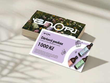 MOCKUP V2 1000 cz 1024x768