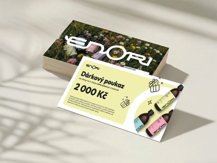 MOCKUP V2 2000 cz 1024x768