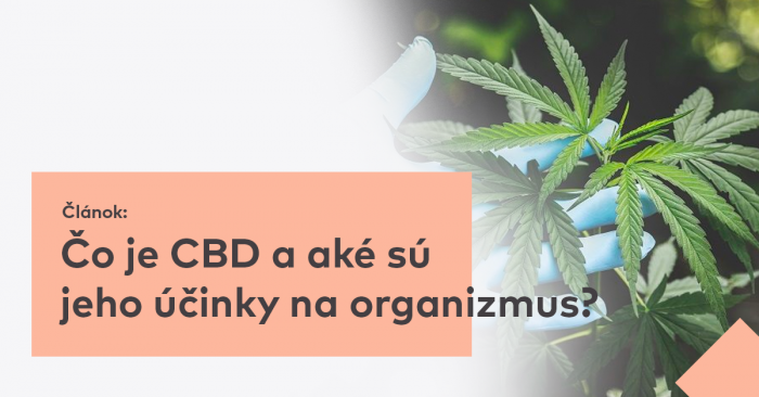Čo je CBD a aké sú jeho účinky na organizmus?