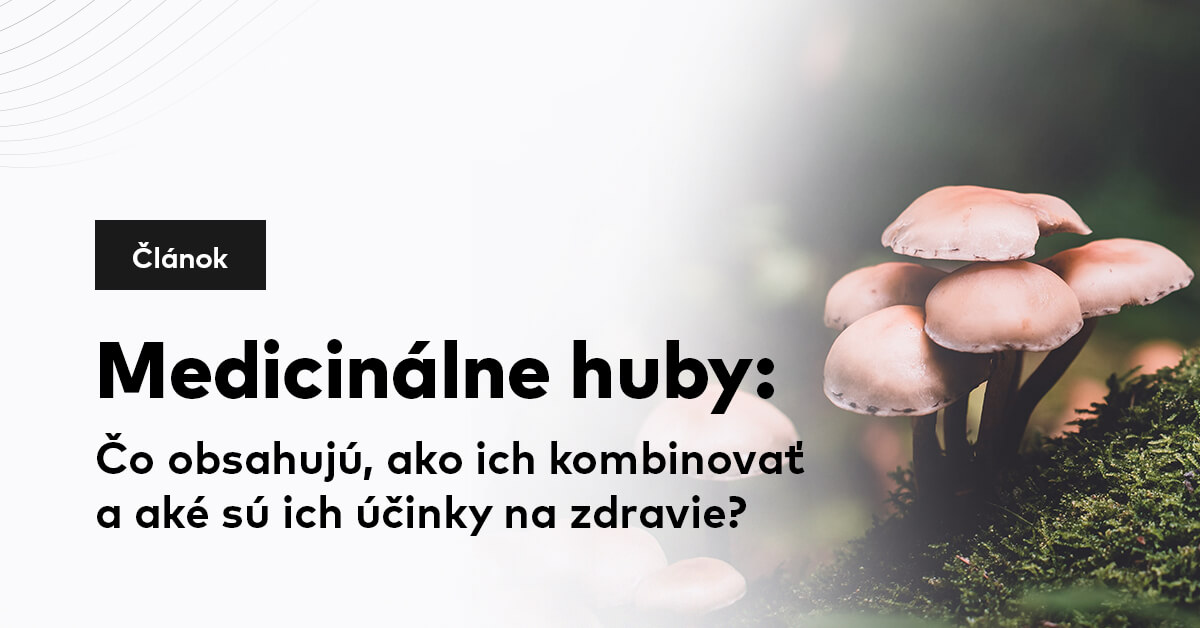 Medicinálne huby: Čo obsahujú, ako ich kombinovať a aké sú ich účinky na zdravie?