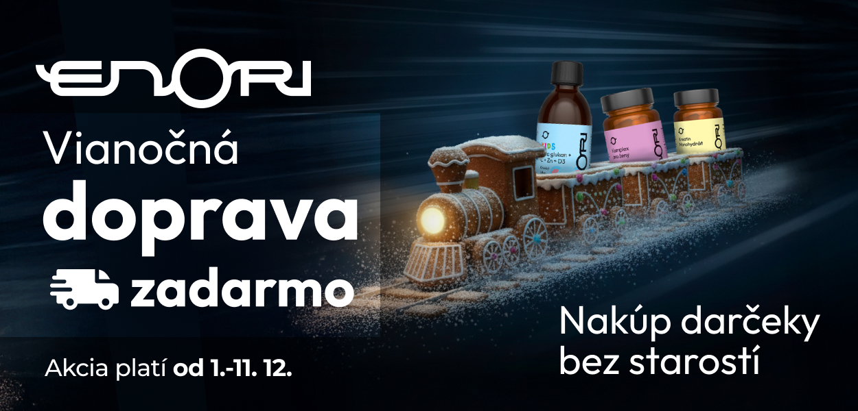 Vianočná doprava zdarma