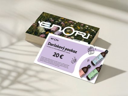 MOCKUP V2 20 sk 1024x768