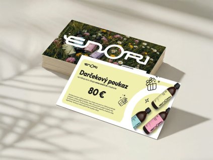 MOCKUP V2 80 sk 1024x768