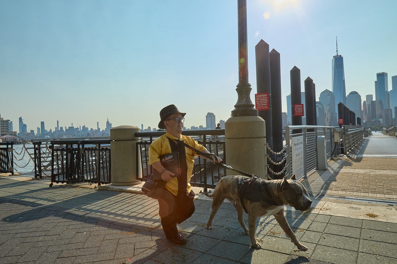 MĚSTSKÝ PES, ANEB JAK ZLEPŠIT KVALITU JEHO ŽIVOTA