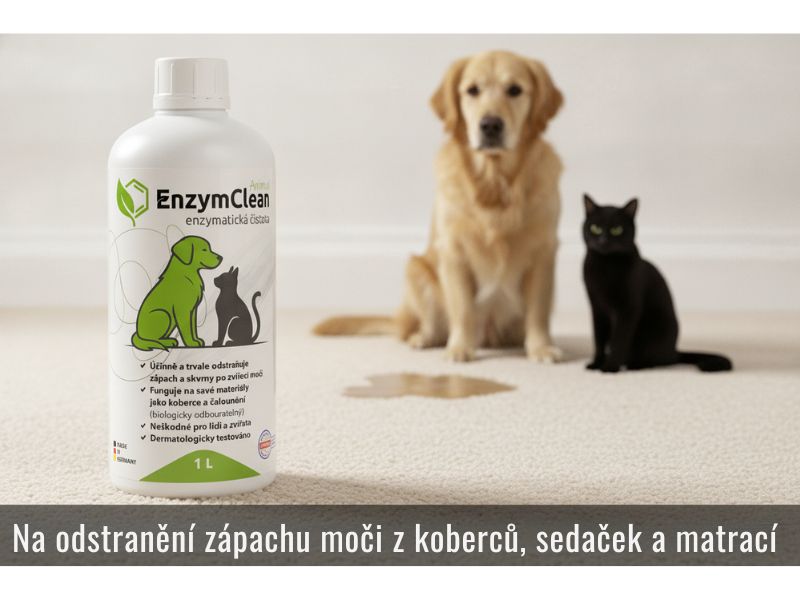 Odstranění zápachu moči