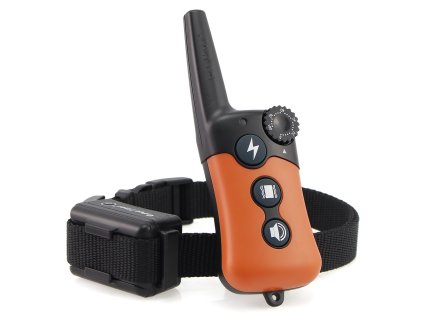 619orange