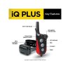 iq plus 2