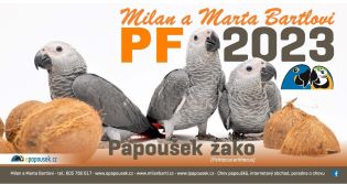 Stolní kalendář Papoušek žako 2023