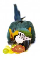                                     Marta a Milan Bartlovi
                            