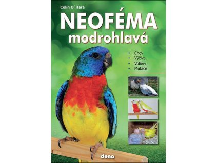 Neoféma modrohlavá - Colin O´Hara